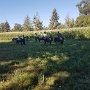 Stage equitation aout 2022 (8)