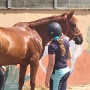 Stage Equitation Flo Aout 2024 (11)