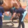 Stage Equitation Flo Aout 2024 (14)