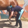 Stage Equitation Flo Aout 2024 (15)