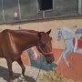 Stage Equitation Flo Aout 2024 (18)