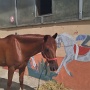Stage Equitation Flo Aout 2024 (19)