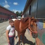 Stage Equitation Flo Aout 2024 (2)
