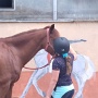 Stage Equitation Flo Aout 2024 (8)