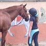 Stage Equitation Flo Aout 2024 (9)