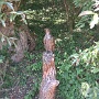 SensoRied (6)