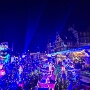 Marche de noel Colmar 2025 (2)