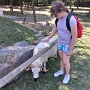 Parc du petit Prince 2025 (13)