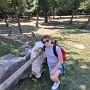 Parc du petit Prince 2025 (15)