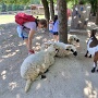 Parc du petit Prince 2025 (18)