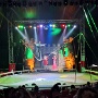 cirque medrano mulhouse 2026 (1)