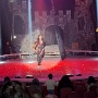 cirque medrano mulhouse 2026 (11)