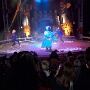 cirque medrano mulhouse 2026 (12)