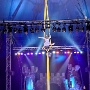 cirque medrano mulhouse 2026 (15)