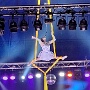cirque medrano mulhouse 2026 (16)