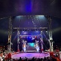 cirque medrano mulhouse 2026 (17)