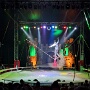 cirque medrano mulhouse 2026 (19)