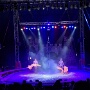 cirque medrano mulhouse 2026 (2)