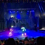 cirque medrano mulhouse 2026 (5)