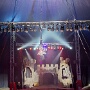 cirque medrano mulhouse 2026 (9)
