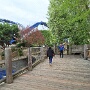 JOURNEE ANNIV A EUROPAPARK (5)