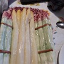 PAQUES 2026 Flora (1)