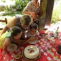 30 Ans H a Fougerolles (16)