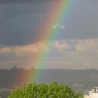 ARC (6)