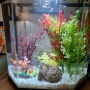 aquarium (1)