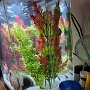 aquarium (2)