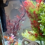 aquarium (3)