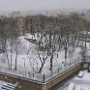 Sous la neige (3)