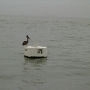 Repos sur les Iles (14).JPG