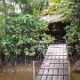 repos a cacao (2).jpg