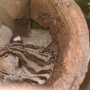 Visite du zoo (10).JPG