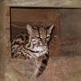 Visite du zoo (11).JPG