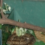 Visite du zoo (17).JPG