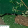 Visite du zoo (19).JPG