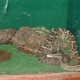 Visite du zoo (20).JPG