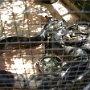 Visite du zoo (6).JPG