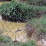 Visite du zoo (8).JPG
