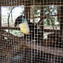 Visite du zoo (9).JPG