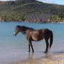 KENDU BEACH (13).JPG