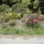 HIENGHENE (9).JPG