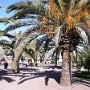 PHOTO (19).JPG