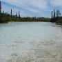 RIVIERE (10).JPG