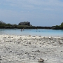 RIVIERE (12).JPG