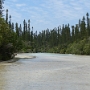 RIVIERE (8).JPG