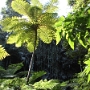 GROTTES (5).JPG