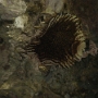 GROTTES (8).JPG